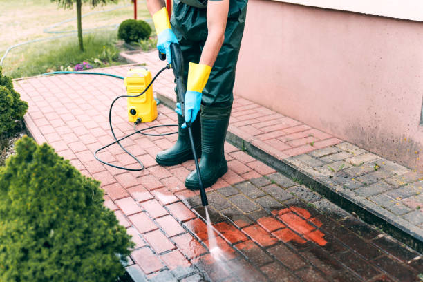 Animal Enclosure Cleaning in Santa Maria, CA